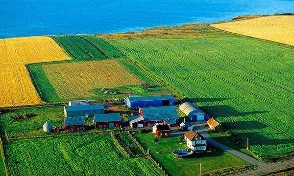 温室建设大棚的六大常规要求