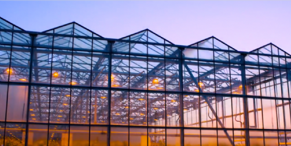 温室建设的补光系统