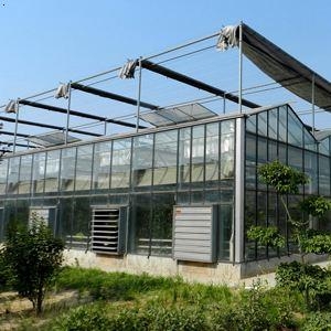 建设温室需要考虑的几个要点？