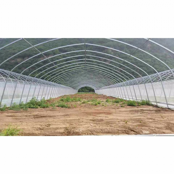 温室大棚建设中如何铺置薄膜才能阻碍杂草生长？