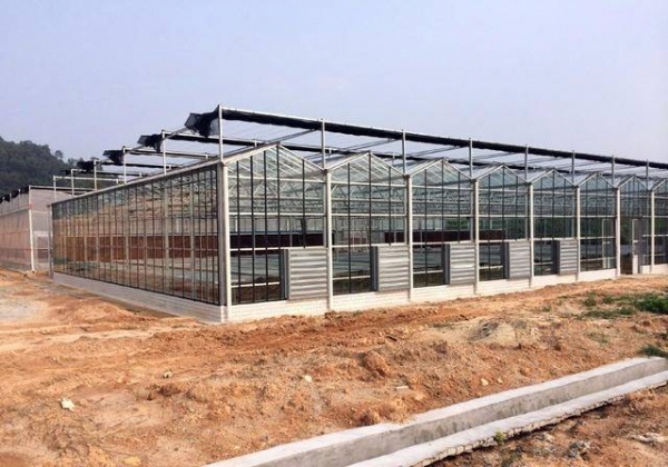 温室建设的通风系统注意要点